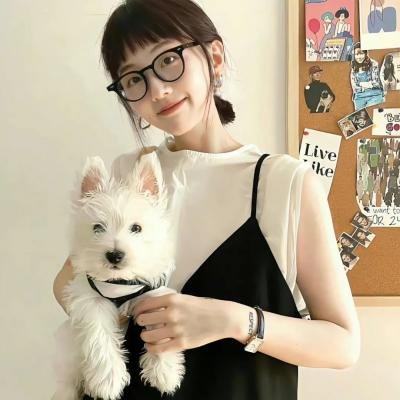新里见八犬传